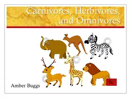 Carnivores, Herbivores, and Omnivores
