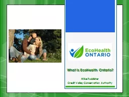What is EcoHealth Ontario?