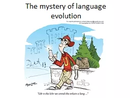 The mystery of language evolution