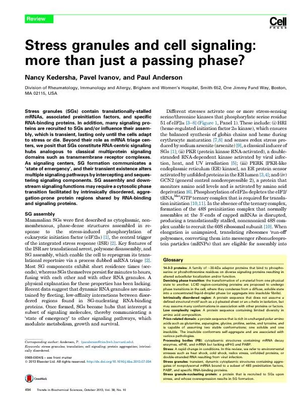 Stressand cell  than just a phase?Nancy Kedersha, Pavel Ivanov, and Pa