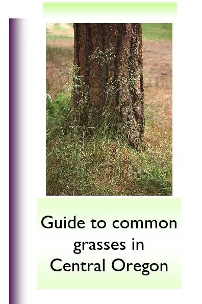 Guide to Common Grasses  in Central Oregon This non-technical guide to