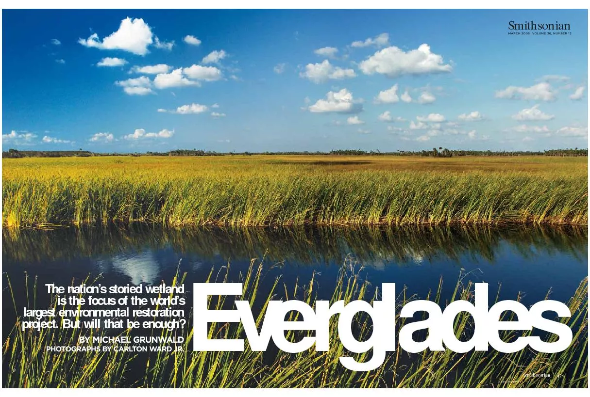 EvergladesThe nation