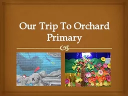 Our Trip To Orchard