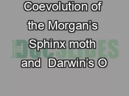 Coevolution of the Morgan’s Sphinx moth and  Darwin’s O