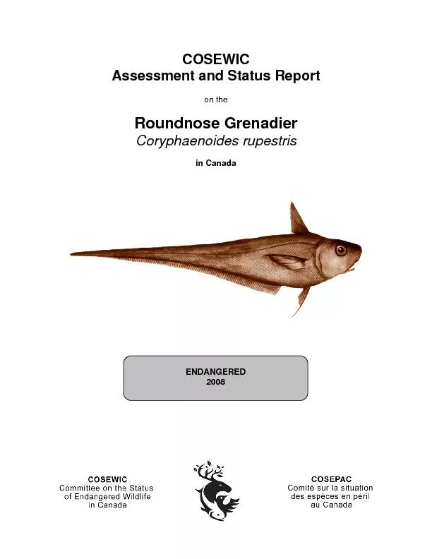 Assessment and Status Report