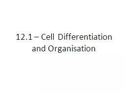 12.1 – Cell Differentiation and Organisation