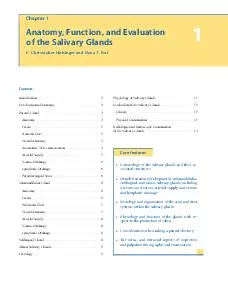Core Features  Embryology of the salivary glands and their as sociated structures  Detailed anatomy of the parotid submandibular sublingual and minor salivary glands including nervous innervation art