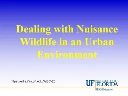 Dealing with Nuisance Wildlife in an Urban Environment