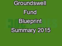 Groundswell Fund Blueprint Summary 2015–2019