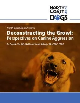 Deconstructing the Growl: Perspectives on Canine AggressionDr. Sophia