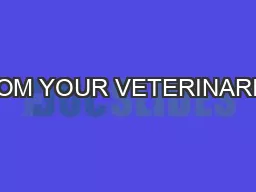 FROM YOUR VETERINARIAN