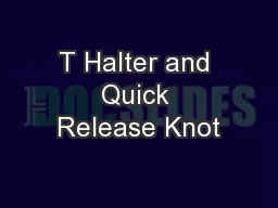 T Halter and Quick Release Knot