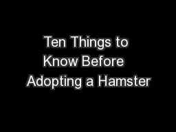Ten Things to Know Before  Adopting a Hamster