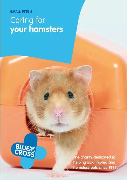 hamster’s bed as they may be asleep is nervous, check they are pr