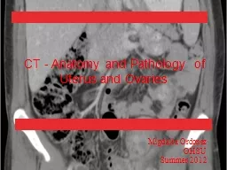 CT - Anatomy and Pathology  of
