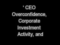‘ CEO Overconfidence, Corporate Investment Activity, and