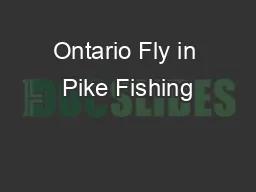 Ontario Fly in Pike Fishing
