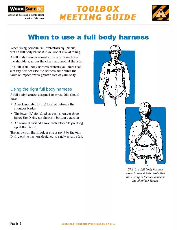 When to use a full body harness