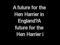 A future for the Hen Harrier in England?A future for the Hen Harrier i