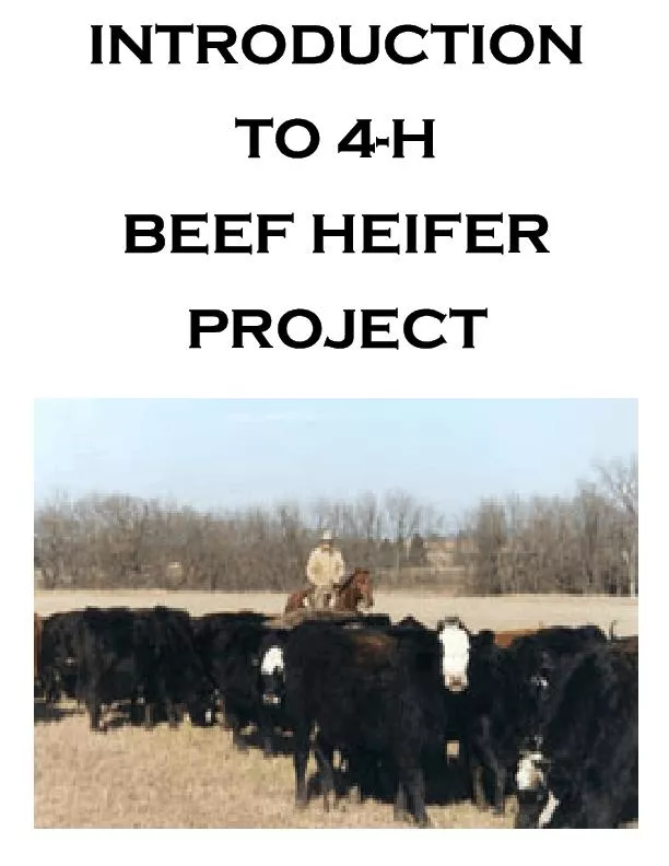 Introduction to 4-H Beef Heifer ProjectComplied by:Reviewed by:James B