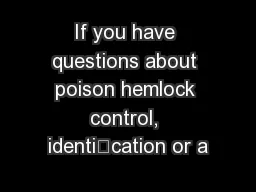 If you have questions about poison hemlock control, identication or a