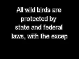 All wild birds are protected by state and federal laws, with the excep