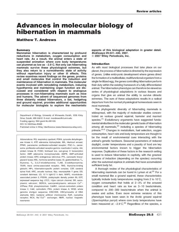 AdvancesinmolecularbiologyofhibernationinmammalsMatthewT.AndrewsMammal