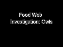 Food Web Investigation: Owls