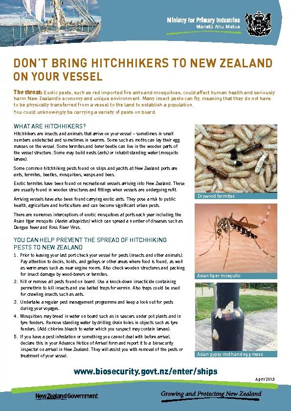 WHAT ARE HITCHHIKERS?Dengue fever and Ross River Virus. YOU CAN HELP P