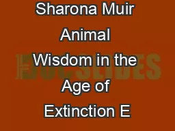 Sharona Muir Animal Wisdom in the Age of Extinction E