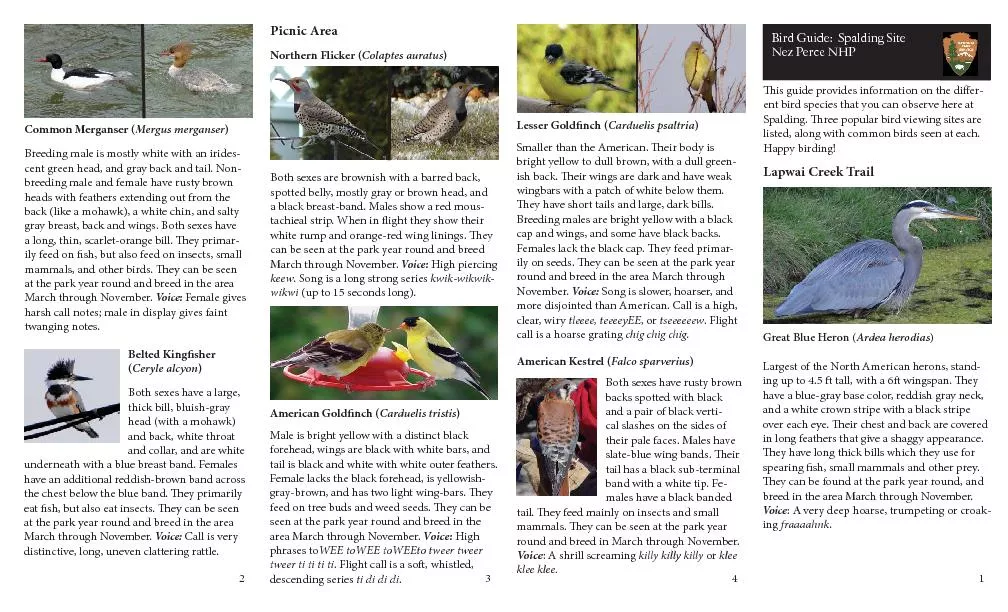 is guide provides information on the di er-ent bird species that you