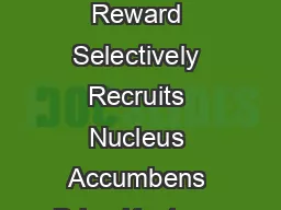 Anticipation of Increasing Monetary Reward Selectively Recruits Nucleus Accumbens Brian Knutson Charles M