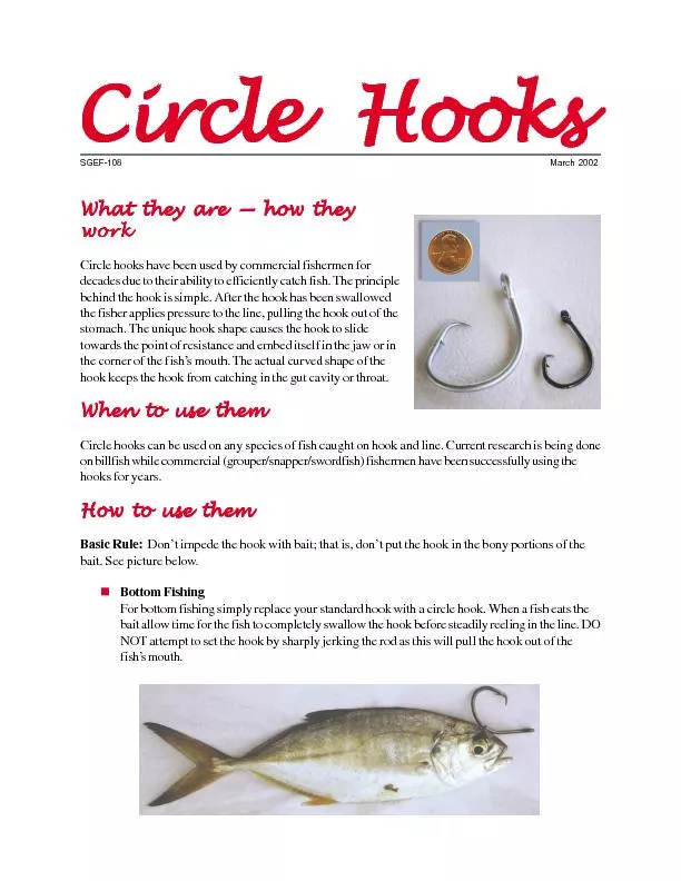 	
	
	
