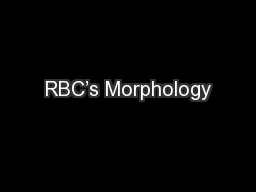 RBC’s Morphology