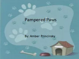 Pampered Paws