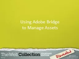Using Adobe Bridge