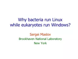 Why bacteria run Linux