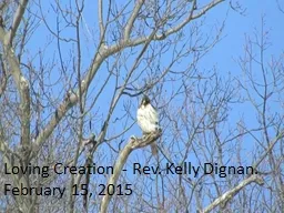 Loving Creation  - Rev. Kelly