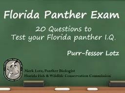 Florida Panther Exam