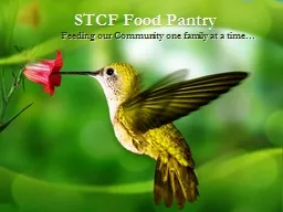 STCF Food Pantry