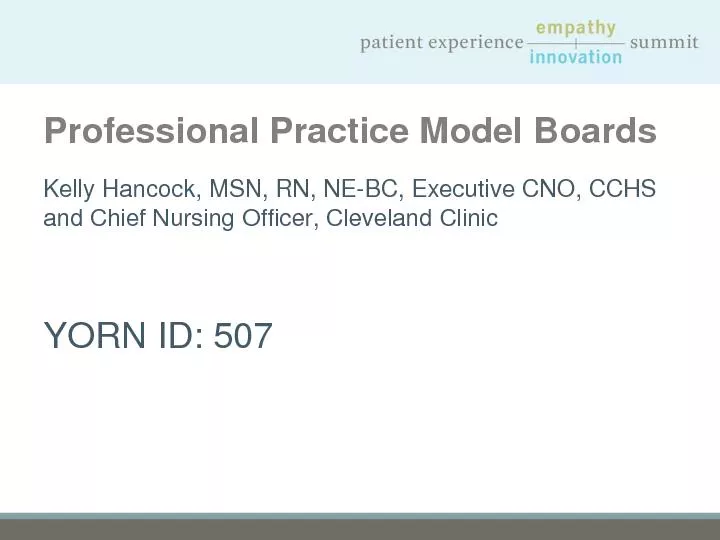 Professional Practice Model Boards