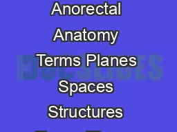 Navigating Anorectal Anatomy Navigating Anorectal Anatomy Terms Planes Spaces Structures Terms Planes Spaces Structures Lawrence M