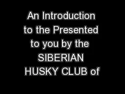 An Introduction to the Presented to you by the  SIBERIAN HUSKY CLUB of