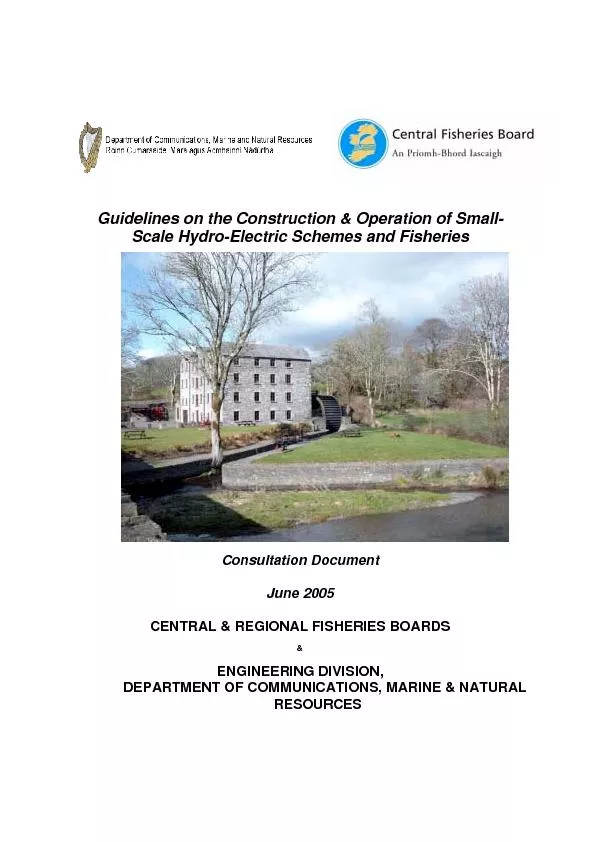 Scale Hydro-Electric Schemes and Fisheries Consultation Document June