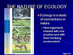 THE NATURE OF ECOLOGY