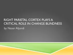 Right parietal cortex plays a critical role in