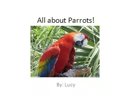 All about Parrots!
