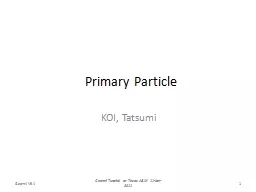 Primary Particle