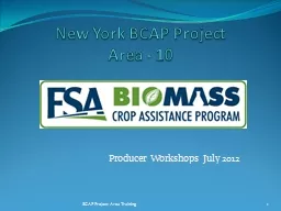 New York BCAP Project