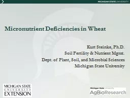 Micronutrient Deficiencies in Wheat